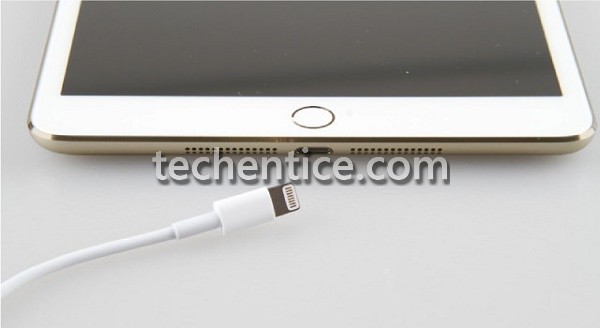 apple ipad mini gold rumor