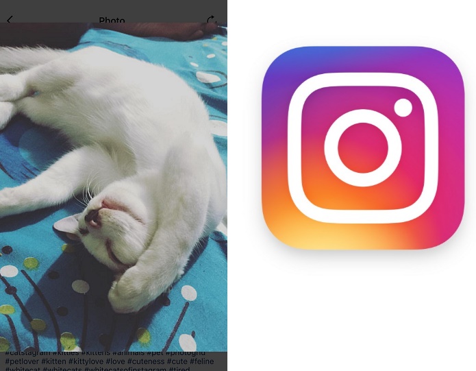Instagram adds photo zoom feature in the iOS app