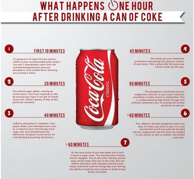 What happens inside your body when you take a sip of Coke 