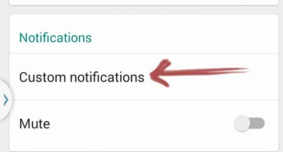 Custom Notifications