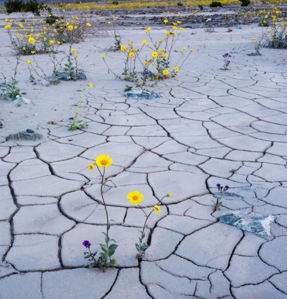  death valley national park