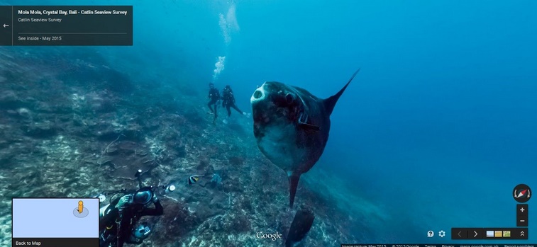 Google Maps Street View now goes deep underwater