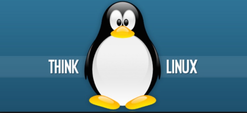 linux development