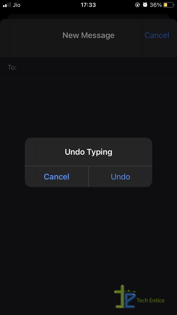 How To Disable Undo Typing On iOS