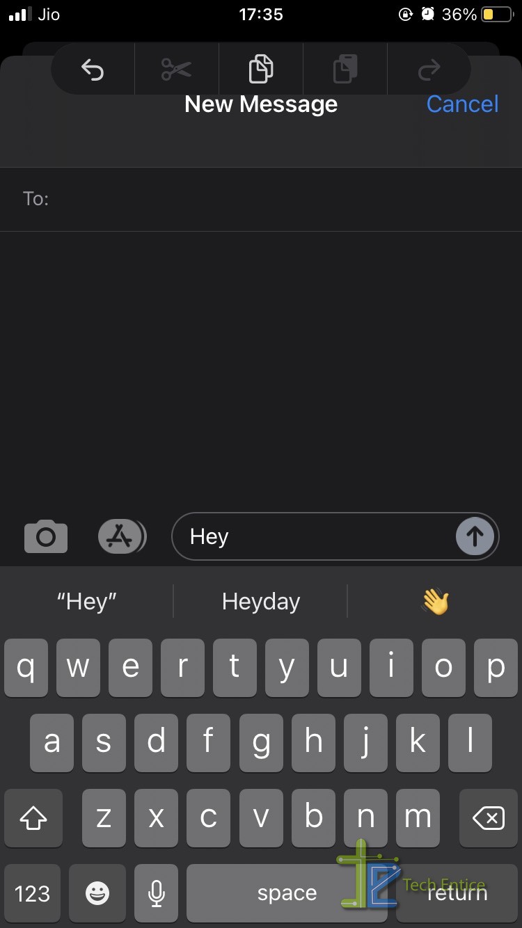 How To Disable Undo Typing On iOS