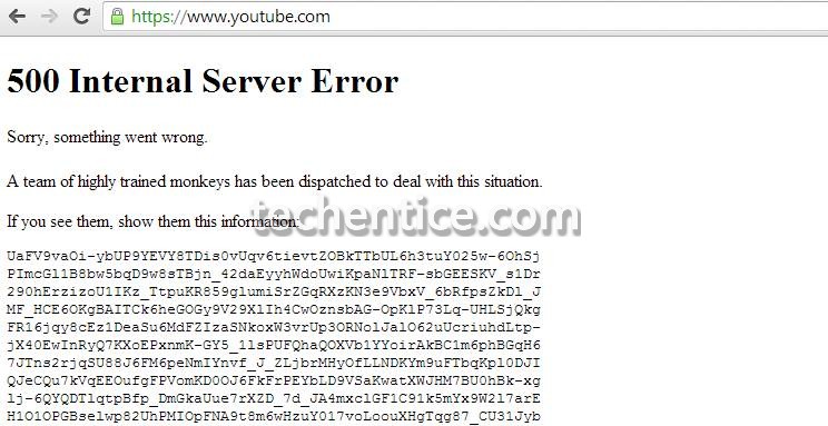 Highly trained monkeys have just fixed youtube error