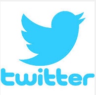 Revenue of Twitter Grows despite User Stagnation
