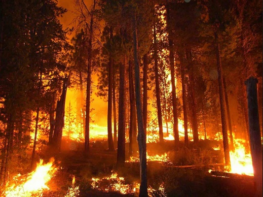 Role of Climate Change in Global Wildfire danger