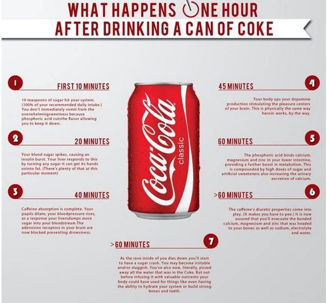 What happens inside your body when you take a sip of Coke