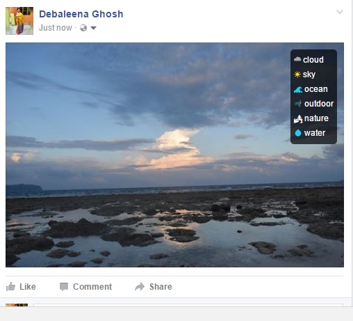 Facebook: Check what objects Facebook identified in your photo