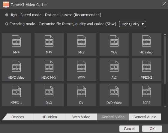 Select the output file format of the video