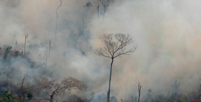 The Amazon Rainforest is Burning