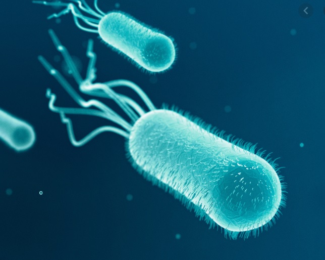 Artificial Intelligence Discovers Medicine That Kills Antibiotic Resistant Bacteria