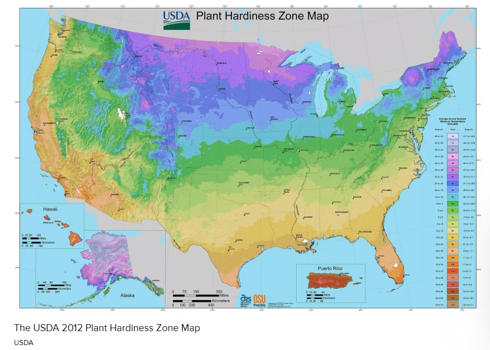 What To Know About USDA Hardiness Zone