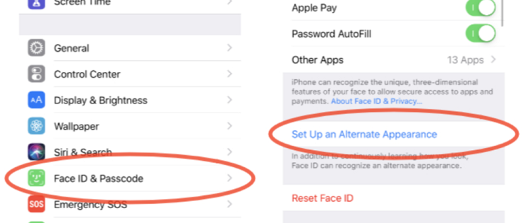 How To Set Up Face ID On iPhone When Wearing A Mask?