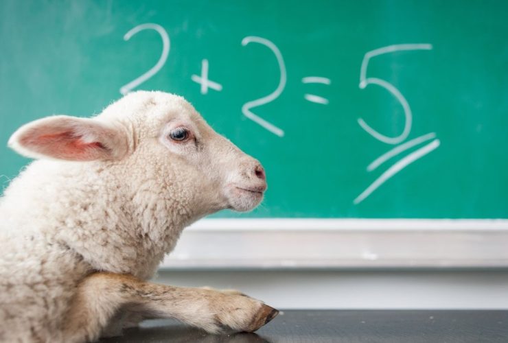 Harmony in Numbers: Exploring the Role of Mathematics in Art and Design